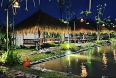 Lokasi Lengkap dan Jam Operasional RM. Asli Laksana Soreang Terbaru, Nikmati Pizza Tungku dengan Rasa Oriental
