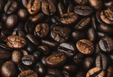 Level Roasting Biji Kopi yang Digunakan Alfamart Ternyata Ada 3 Jenis Loh, Begini Penjelasannya yang Mind Blowing 