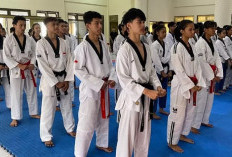 Cara Melakukan Gerakan Taekwondo yang Benar, Jangan Otodidak Mending Belajar Ke Ahlinya