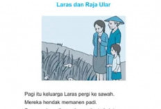 Kumpulan Cerita Pendek Bahasa Indonesia Kelas 2 SD, dengan Tema Persahabatan