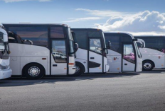 Rekomendasi Travel Murah Bengkul- Pekanbaru PP Terbaru 2024, Harga Murah dan Sudah Full Layanan!