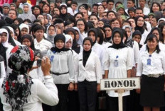 Perbedaan Tenaga Honorer K1 K2 K3 yang Wajib Diketahui, Perbedaan Peluang Diangkat Jadi PPPK