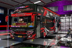 Download Livery BussID PO Haryanto Terlengkap 2023 Format PNG/JPG, Makin Trendy dan Mirip Sama yang Asli