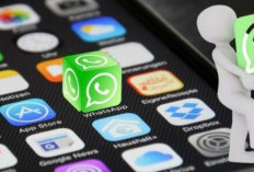Link Grup WA Video Viral Terbaru 2024, Bisa Untuk Bisnis Hingga Cari Gebetan!
