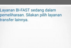 Sampai Kapan Gangguan BI Fast Akan Berlangsung? Kabar Baik Bagi Para Pengguna M-Banking!