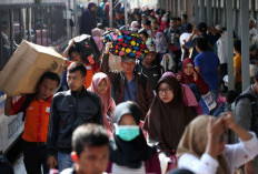 Info Mudik Gratis 2023 Kemenhub Telah Dibuka, Cek Info, Syarat Pendaftaran dan Tujuan Keberangkatannya