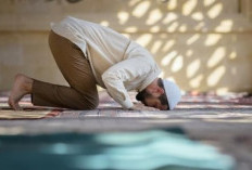 Sujud Sahwi Adalah: Pengertian, Hukum, dan Dalil tentang Sujud Sahwi