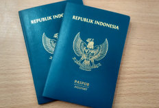 Contoh Surat Rekomendasi Disnaker Untuk TKI Sesuai dengan Aturan Penerbitan Paspornya