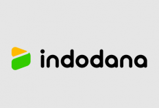 Apakah Indodana ada DC Lapangan? Calon Pengguna Fintech yang Satu Ini Wajib Ketahui Dulu!