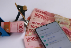BARU! Inilah Daftar APK Pinjol Suku Bunga Rendah Januari 2024 : Segini Bunga Baru Pinjol, Denda, dan Simulasinya