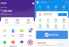 Tanpa Admin! Tips Transfer DANA ke OVO Super Gampang, Pilih Satu Cara yang Kalian Mau