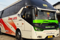 Jam Keberangkatan Bus Murni Jaya Terbaru 2023 dengan Berbagai Rute Tujuan dan Harga Tiket