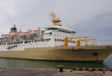 Jadwal Kapal Laut Surabaya-Labuan Bajo Mei 2023, Ada Kapal dari PT Berlian Lautan Sejahtera