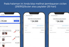 Cara Mencairkan Saldo Lazada PayLater ke Rekening Jadi Solusi Cepat Saat Kepepet 