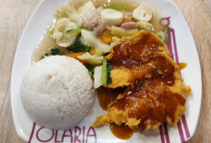 List Harga Menu Solaria Jogja Terbaru 2023, Sajikan Ragam Olahan Kuliner Asia Kaya Cita Rasa