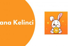 Pinjol Dana Kelinci Apakah Aman? Waspada! Ini Fakta Terbaru dari Nasabahnya