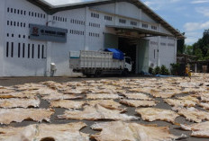Viral Perusahaan Kulit Manusia Terbesar di Dunia Terletak di Israel, Diduga Curi Dari Jasad Warga Palestina yang Hilang