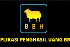Apakah Aplikasi BBH Penghasil Uang Penipuan? Terapkan Skema Ponzi, Ini Hal yang perlu Diwaspadai