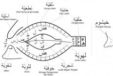 Mengenal Makhorijul Huruf: Pengertian, Jenis-jenis, dan Cara Bacanya
