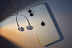 Cara Setting Kamera iPhone 11 Untuk Hasil Jepretan Maksimal, Fotografi Jadi Makin Asyik!