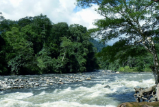 Nama-Nama Sungai yang Terdapat di Pulau Sumatera Berdasarkan Kondisi Geografisnya
