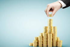 Cara Buat Akun PDO Indonesia, Buat Para Investor yang Cari Untung Besar Boleh Cobain!