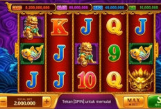 Panen Jackpot! Ini Jam Gacor Room 5 Dragon Higgs Domino Terbaru Dari Leon, Buruan Cobain! 