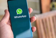 Kenapa Foto WA Tersimpan Double iPhone? Bikin Penyimpanan Cepat Penuh! Ternyata Ini Penyababnya