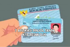 Daftar Pinjaman Online Tanpa KTP Cepat Cair 2024, Mudah Daftarnya Cuma dengan Syarat Ini!