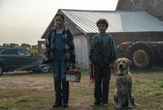 Sinopsis Film Horor Blood (2023), Serangan Anjing yang Membuat Seseorang Haus Akan Darah