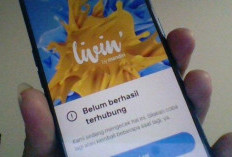 Error! Livin' Mandiri Tidak Bisa Dibuka Bulan Mei 2024, Begini Cara Untuk Mengatasinya!