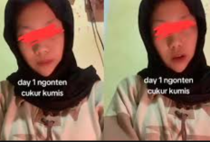 Video Viral Cukur Kumis Hijab Coklat Viral Telegram No Sensor, Isinya Bikin Penasaran Banyak Dicari!