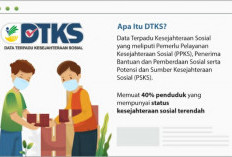 Perbedaan Program DTKS dan BDT, Ada Pengklasifikasian Tersendiri! Cek Penjelasannya Disini