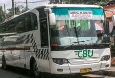 Jadwal Bus dan Travel Karawang Cirebon PP Terbaru 2023, Tarif Murah dan Fasilitas Armada Terbaik