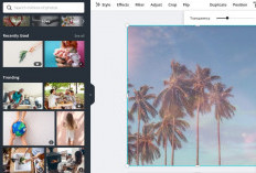 Cara Dapat Akun Canva Pro Gratis Premium 2024 Unlock Semua Fitur Tanpa Bayar Buat Pendidikan, Gercepin Kuy! 