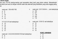 Latihan Soal Psikotes PT Nabati Tahun 2023 Menggunakan Jasa Tes Psikotes Online + Contoh Soalnya