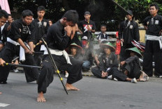 Jurus Persaudaraan (Setia Hati Terate atau SH Terate), Keistimewaan dan Makna Setiap Jurusnya