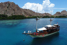 Jadwal Kapal Laut Surabaya Labuan Bajo Januari 2024 Lengkap Dengan Harga Tiket dan Cara Belinya Biar Dapat Diskon Termurah 