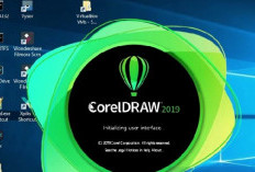 Cara Update Corel Draw, Atur Setting Dahulu atau Bisa Langsung Download yang Terbaru