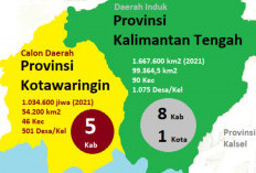 Pemekaran Wilayah Kotawaringin Raya Sudah Diajukan ke DPR RI Gubernur Kalteng Minta Dukungan Ma’ruf Amin