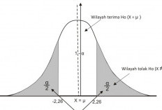 Cara Membuat Kurva Uji T di SPSS, Catat Langkah Penentuan Hipotesisnya Ini 