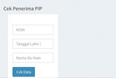 pip.kemdikbud.go.id Login Tidak Bisa Dibuka Juni 2024 Ternyata Ini Penyebab dan Cara Mengatasinya Yang Wajib Kamu Tau
