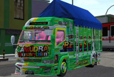 Link Download MOD Bussid Truck Canter Cabe Terbaru 2023, Variasi Banyak Seperti Dunia Nyata
