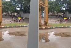 Link Video Bocil MPP Maros Viral Tiktok Twitter Bikin Emosi Netizen, Ciuman di Tempat Umum!