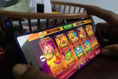 Baru! Cek Link Download Mod Higgs Domino Apk Speeder Full Gacor Januari 2024 Gratis Tanpa Iklan Unlimited Chip 
