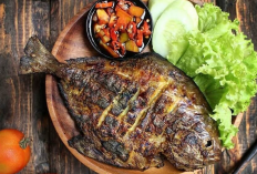 Rekomendasi Tempat Makan Ikan Bakar di Pekanbaru yang Patut Dicoba, Harga Murah dan Cocok Untuk Keluarga