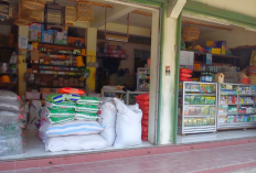 Modal Awal Langsung Balik, Segini Keuntungan Jualan Pakan Ternak Untuk Pemula dan Rincian Biayanya!