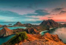 Pelayaran ke Pulau Komodo dan Padar Sempat Dihentikan, Larangan Kunjungan Wisatawan Apa Saja?