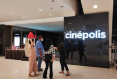 Update! Jadwal Film Bioskop Cinepolis Sun Plaza Medan, Ada Pulau Terkutuk dan Assassin Club!