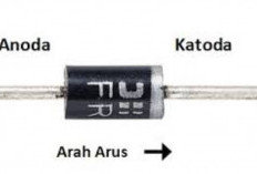 Skema Ukuran Dioda Trafo 5 Ampere Pada Transformator CT